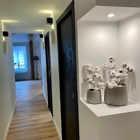 Grand Et Superbe T3 : Au Coeur Du Centre * クレルモン・フェラン